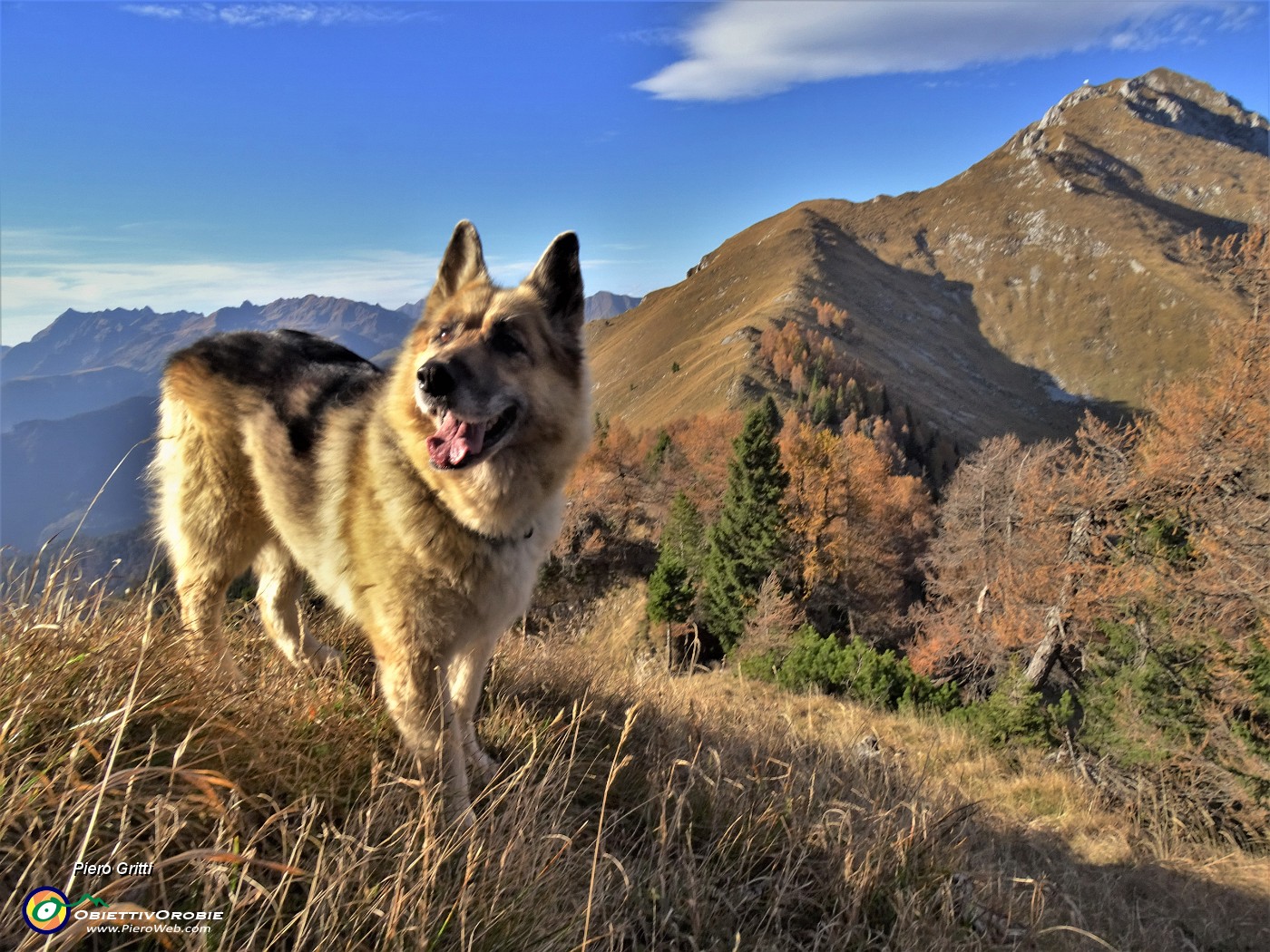 58 Dori con vista sul Monte Secco in attesa....JPG